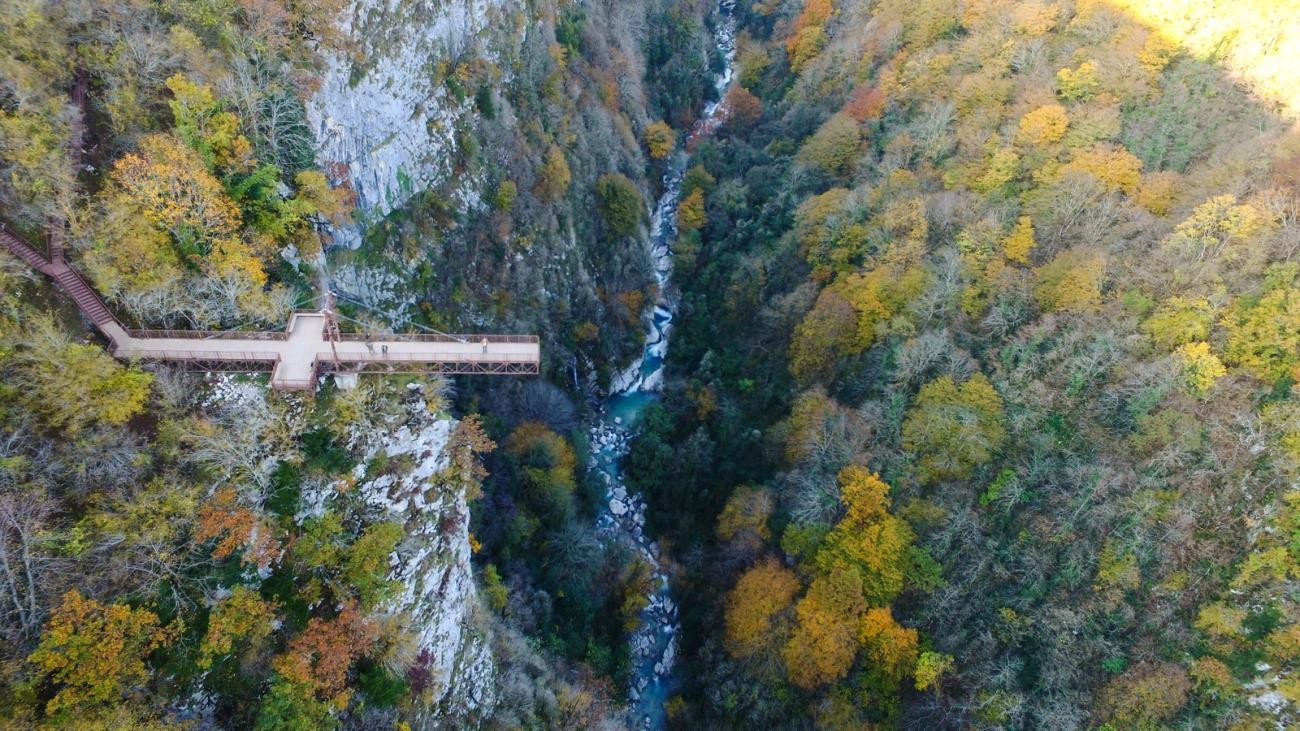 A suspended walkway bridge spanning the deep Okatse Canyon surrounded by autumn-colored forest in western Georgia