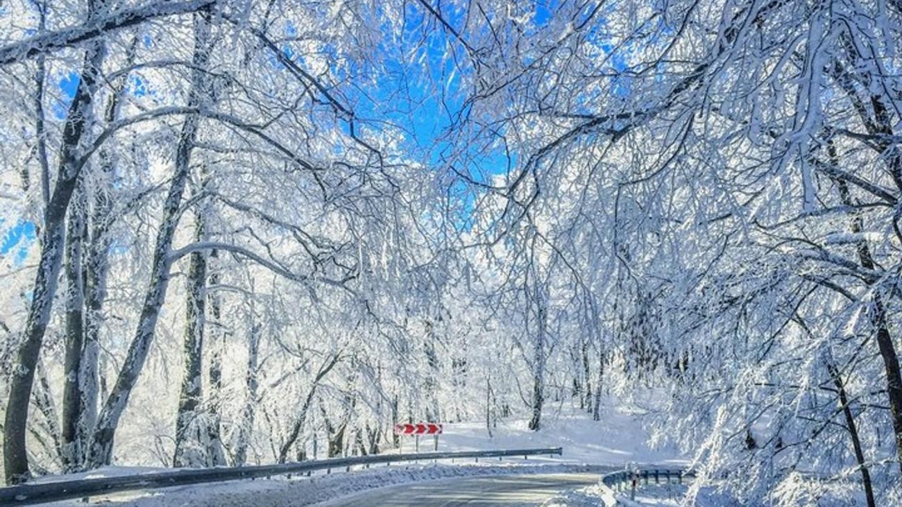 A winding road passes beneath a canopy of frost-covered trees with a red road sign visible against the white winter landscape