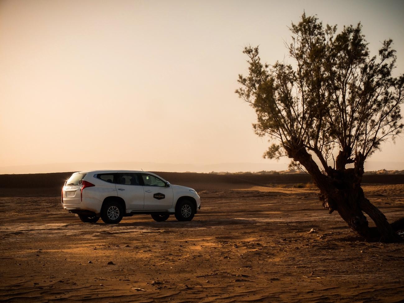 White SUV parked beside a lone tree in the Moroccan Sahara desert at sunset.