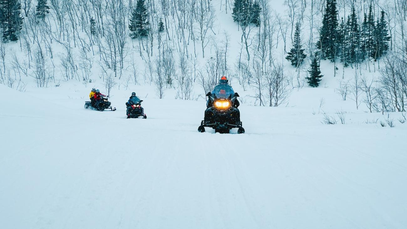 Snowmobiles approaching head-on through a snow-covered trail flanked by birch and spruce trees on a hillside.